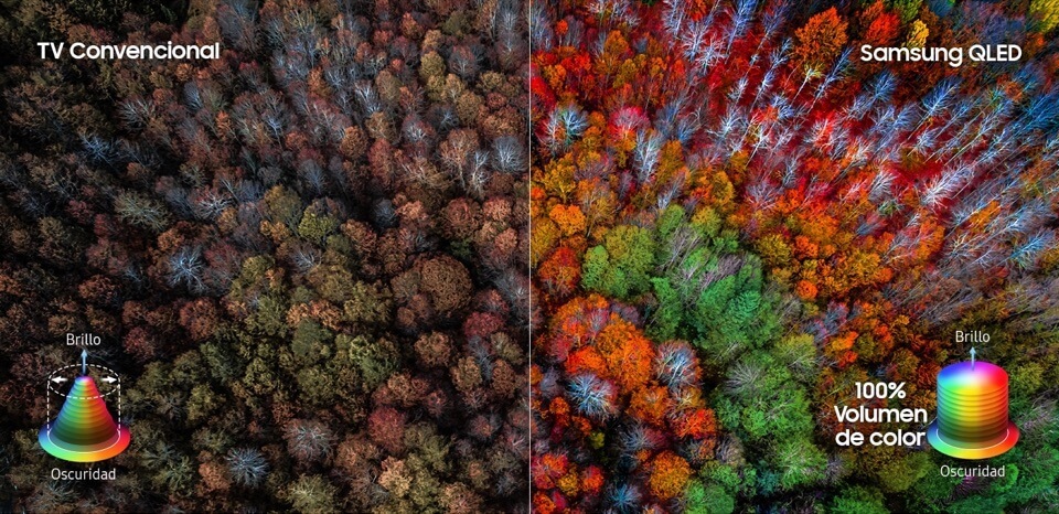 Comparativa televisores LED OLED