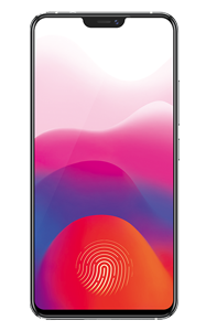 Vivo X21