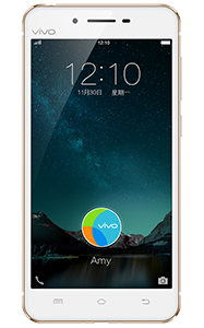 Vivo X6